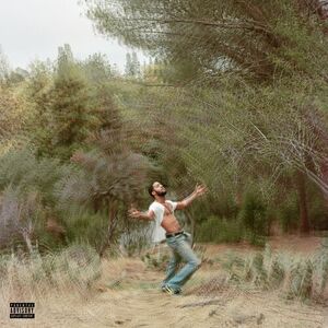 آلبوم Speedin’ Bullet 2 Heaven Kid Cudi | Toogoosh