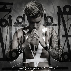 آلبوم Purpose (Deluxe) Justin Bieber | Toogoosh