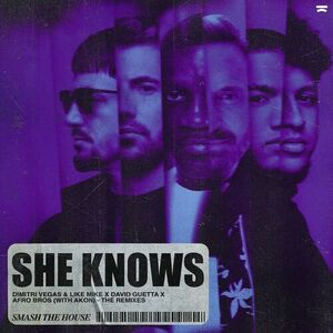 آلبوم She Knows (with Akon) (The Remixes) David Guetta , Afro Bros ...  | Toogoosh