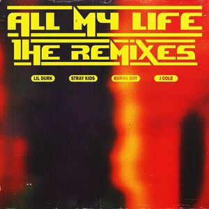 آلبوم All My Life (Remixes) Lil Durk | Toogoosh