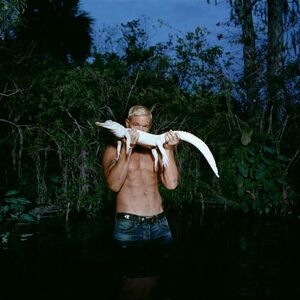 آلبوم Diplo Presents Thomas Wesley: Chapter 2 – Swamp Savant Diplo | Toogoosh