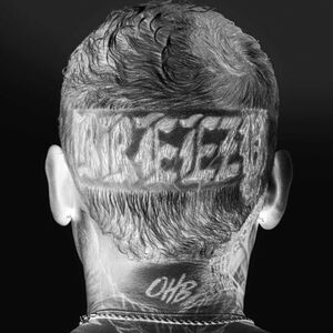 آلبوم Breezy (Deluxe) Chris Brown | Toogoosh