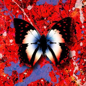 آلبوم 2step (The Remixes) Ed Sheeran | Toogoosh