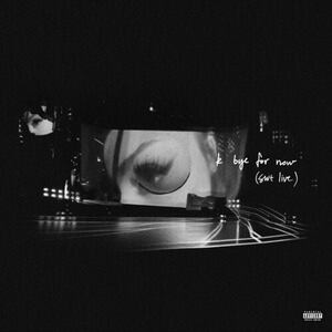 آلبوم k bye for now (swt live) Ariana Grande | Toogoosh