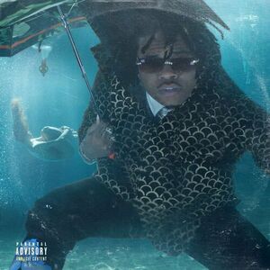 آلبوم Drip or Drown 2 Gunna | Toogoosh