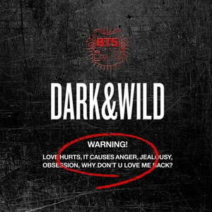آلبوم Dark & Wild BTS | Toogoosh