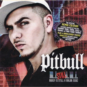 آلبوم Money Is Still A Major Issue Pitbull | Toogoosh