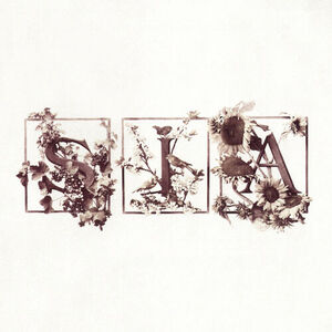 آلبوم Colour The Small One (Deluxe Edition) Sia | Toogoosh