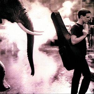 آلبوم On A Day Like Today Bryan Adams | Toogoosh