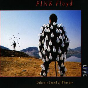 آلبوم Delicate Sound Of Thunder Pink Floyd | Toogoosh