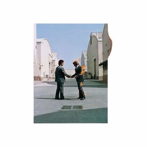 آلبوم Wish You Were Here (Remastered Version) Pink Floyd | Toogoosh