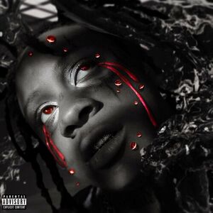 آلبوم A Love Letter To You 4 (5 Year Anniversary) Trippie Redd | Toogoosh
