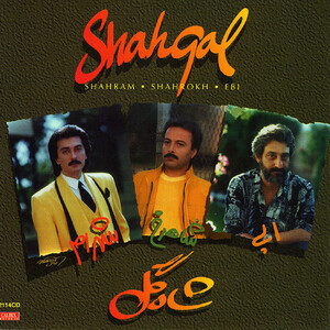 آلبوم شاه گل ابی , شاهرخ ...  | Toogoosh