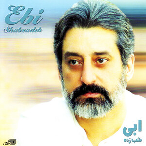 آلبوم شب‌زده ابی | Toogoosh