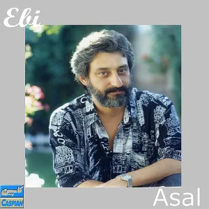 آلبوم عسل ابی | Toogoosh