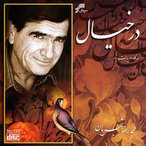 آلبوم در خیال محمدرضا شجریان | Toogoosh
