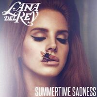 آهنگ Summertime Sadness (Radio Mix) از Lana Del Rey | توگوش Toogoosh