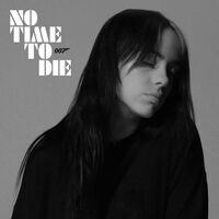 آهنگ No Time To Die از Billie Eilish | توگوش Toogoosh