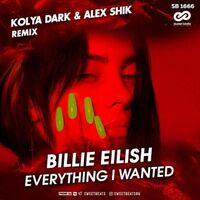 آهنگ Everything I Wanted (Radio Edit) از Billie Eilish | توگوش Toogoosh