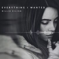 آهنگ Everything I Wanted از Billie Eilish | توگوش Toogoosh