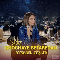 آهنگ Ghoghaye Setaregan - Acoustic از Ayşegül Coşkun | توگوش Toogoosh