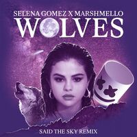Wolves - Said The Sky Remix - Marshmello , Selena Gomez , Said the Sky | Toogoosh