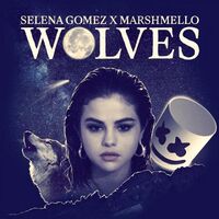 آهنگ Wolves از Marshmello , Selena Gomez | توگوش Toogoosh