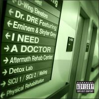 آهنگ I Need A Doctor از Dr. Dre , Skylar Grey , Eminem | توگوش Toogoosh