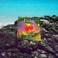Potion (with Dua Lipa & Young Thug) - Calvin Harris , Young Thug , Dua Lipa | Toogoosh