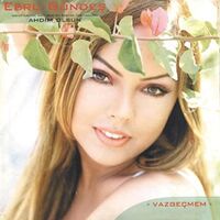 آهنگ Akilli Ol از Ebru Gündeş | توگوش Toogoosh