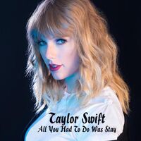 آهنگ All You Had To Do Was Stay از Taylor Swift | توگوش Toogoosh