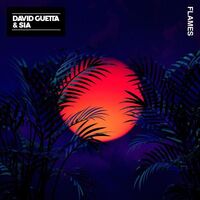 آهنگ Flames از David Guetta , Sia | توگوش Toogoosh
