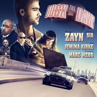آهنگ Dusk Till Dawn (Radio Edit) از Sia | توگوش Toogoosh