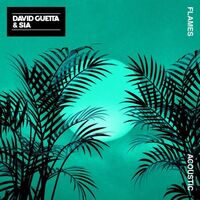 آهنگ Flames (Acoustic) از David Guetta , Sia | توگوش Toogoosh