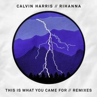 آهنگ This Is What You Came for (Remix) از Calvin Harris , Rihanna | توگوش Toogoosh
