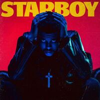 آهنگ A Lonely Night از The Weeknd | توگوش Toogoosh