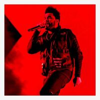 آهنگ Too Late از The Weeknd | توگوش Toogoosh