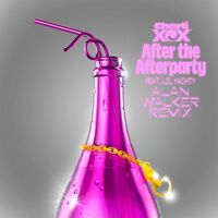 After the Afterparty (Alan Walker Remix) - Charli XCX , Alan Walker | Toogoosh