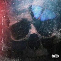 Without Me (Illenium Remix) - Halsey | Toogoosh