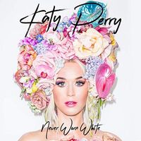 آهنگ Never Worn White از Katy Perry | توگوش Toogoosh