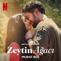 آهنگ Yağmurun Hatrına (From the Netflix Series Another Self) از Murat Boz | توگوش Toogoosh