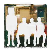 Leave Before You Love Me (with Jonas Brothers) - Marshmello , Jonas Brothers | Toogoosh