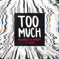 آهنگ Too Much (feat. Usher) از Marshmello , Imanbek , Usher | توگوش Toogoosh