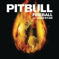آهنگ Fireball (feat. John Ryan) از Pitbull , John Ryan | توگوش Toogoosh