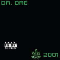 آهنگ Still D.R.E. از Snoop Dogg , Dr. Dre | توگوش Toogoosh