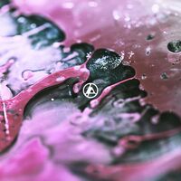 Over Each Other - Linkin Park | Toogoosh