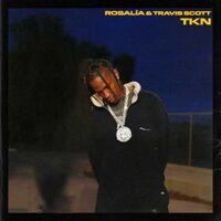 آهنگ Tkn از Travis Scott | توگوش Toogoosh