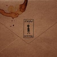 آهنگ Alienated از ZAYN | توگوش Toogoosh