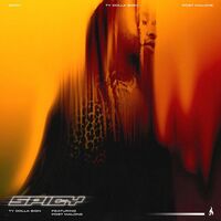 Spicy (feat. Post Malone) - Post Malone , Ty Dolla $ign | Toogoosh