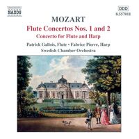 آهنگ Flute Concerto No. 2 in D Major, K. 314: II. Andante ma non troppo از Roderick Shaw , Swedish Chamber Orchestra , Katarina Andreasson , Wolfgang Amadeus Mozart ...  | توگوش Toogoosh